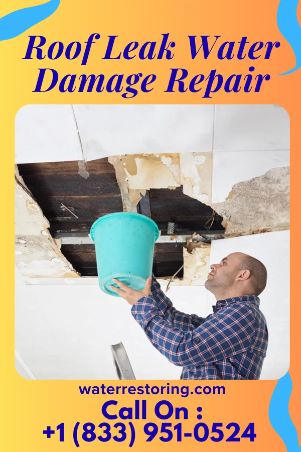 Roof Leak Water Damage Repair in Shelter Cove, CA